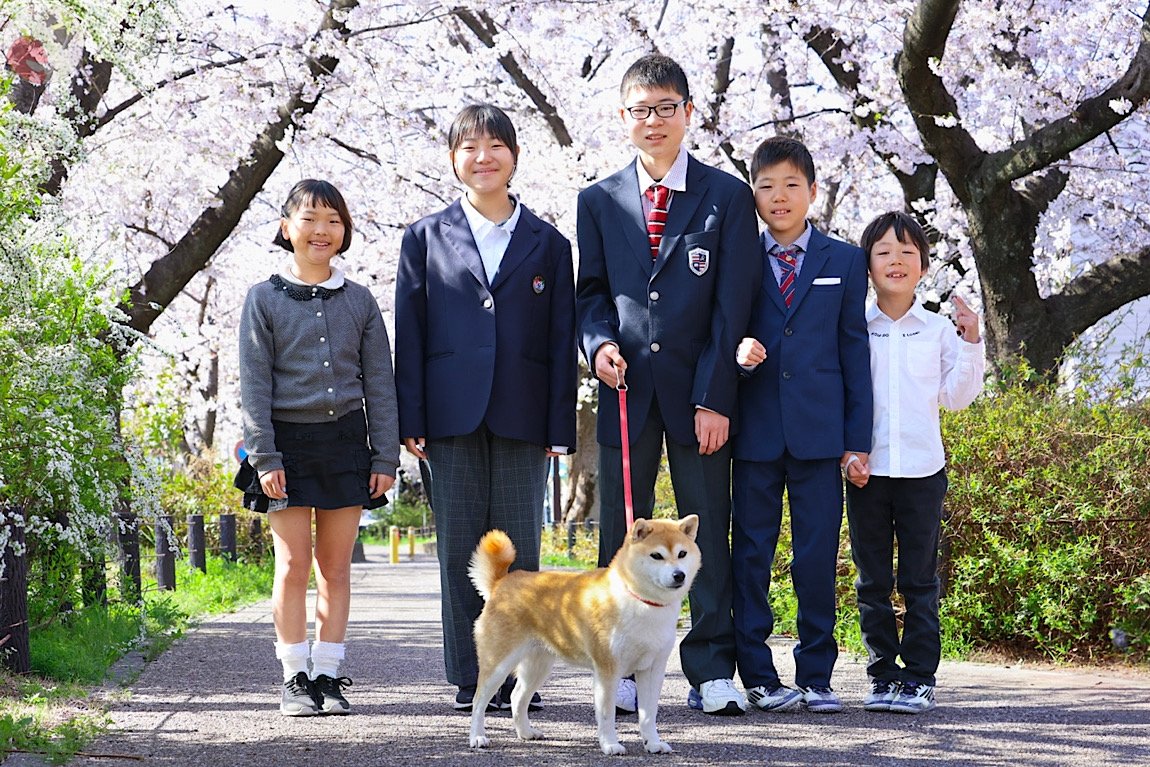 Kicori Nozomi Gotoのポートフォリオ7