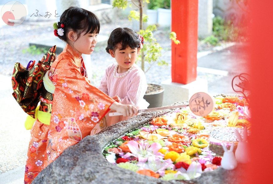 Kicori Nozomi Gotoのポートフォリオ2