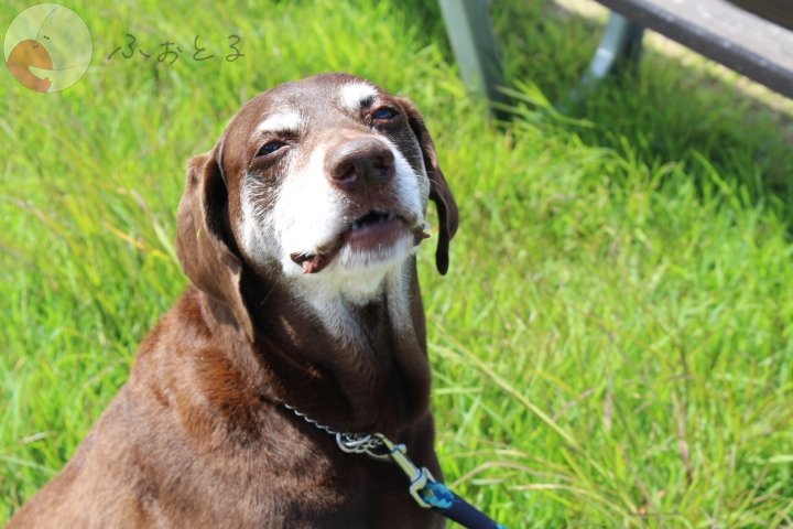 代々木のポートフォリオ1