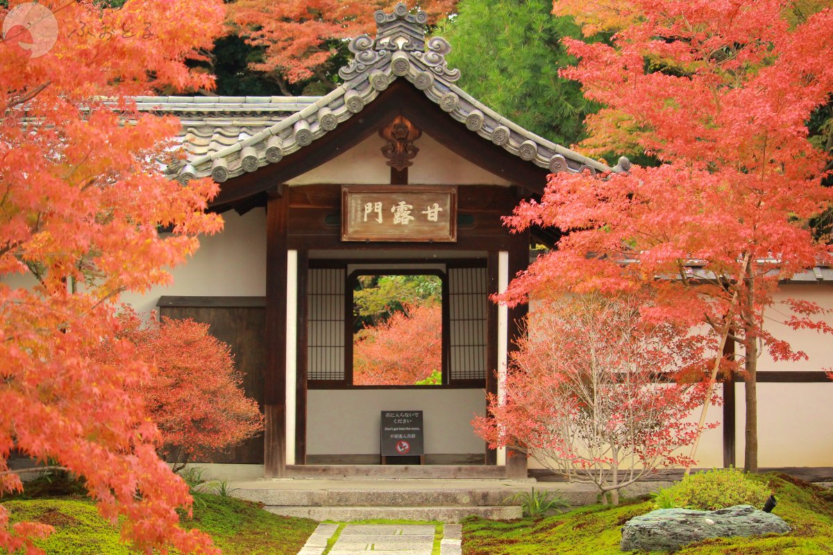 代々木のポートフォリオ2