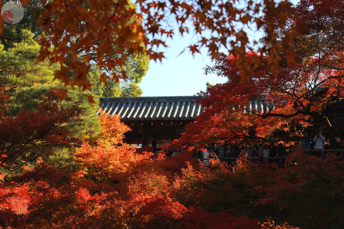 代々木のポートフォリオ3