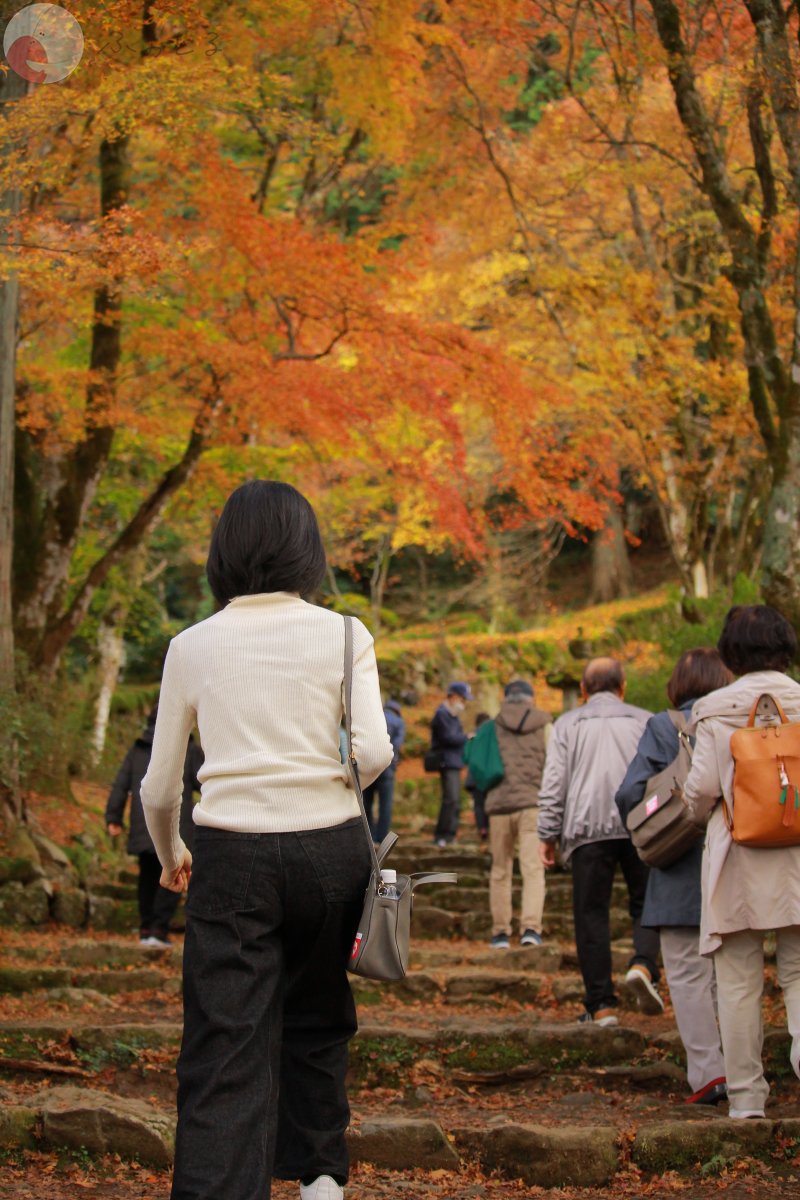 代々木のポートフォリオ5
