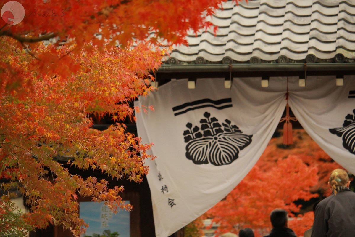 代々木のポートフォリオ3