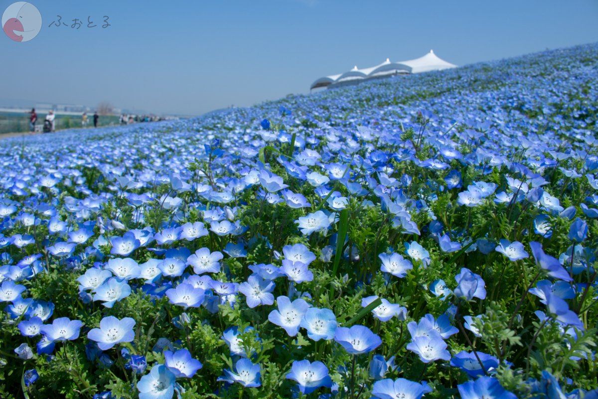 代々木のポートフォリオ4