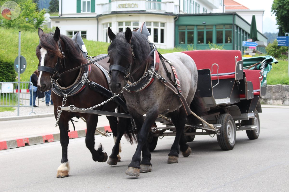 代々木のポートフォリオ6