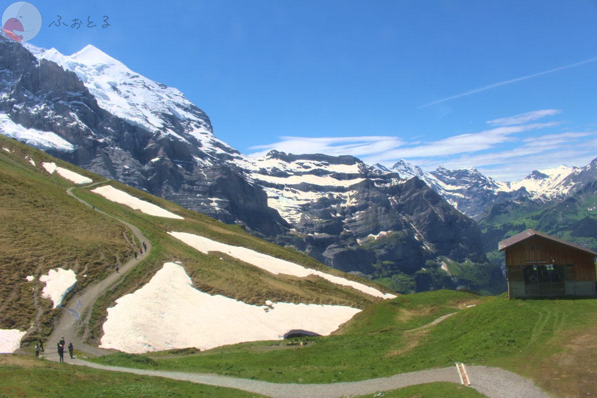 代々木のポートフォリオ8