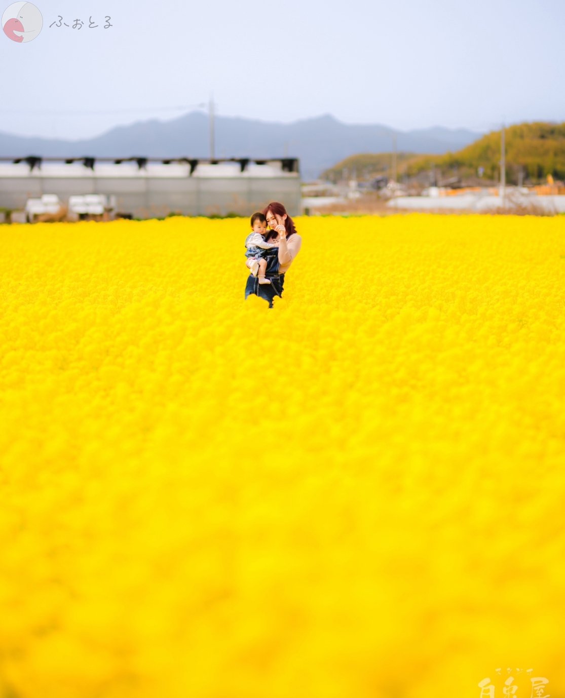 竹田孝文のポートフォリオ2