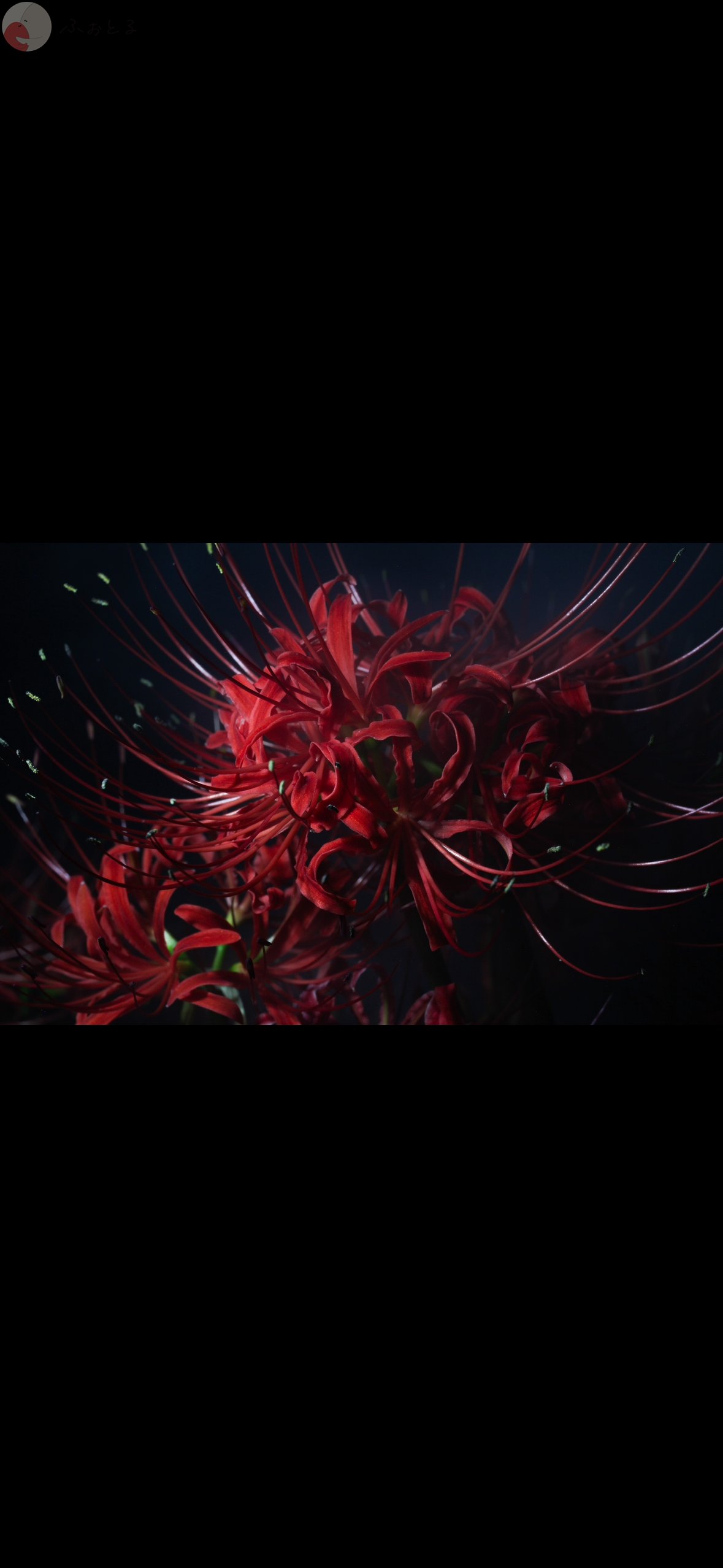 原のポートフォリオ3