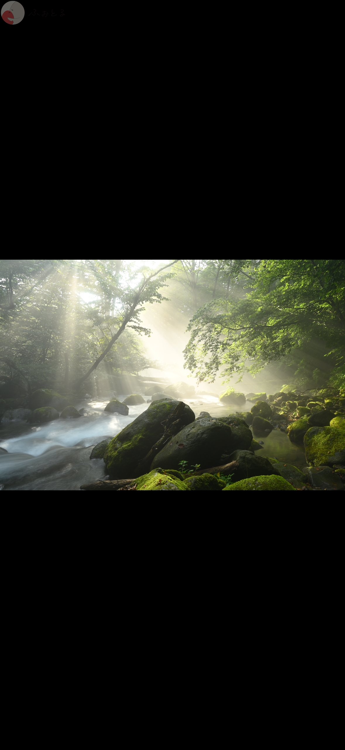 原のポートフォリオ5