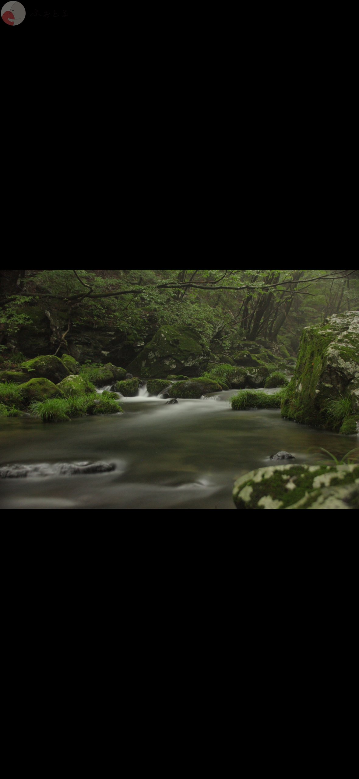 原のポートフォリオ6