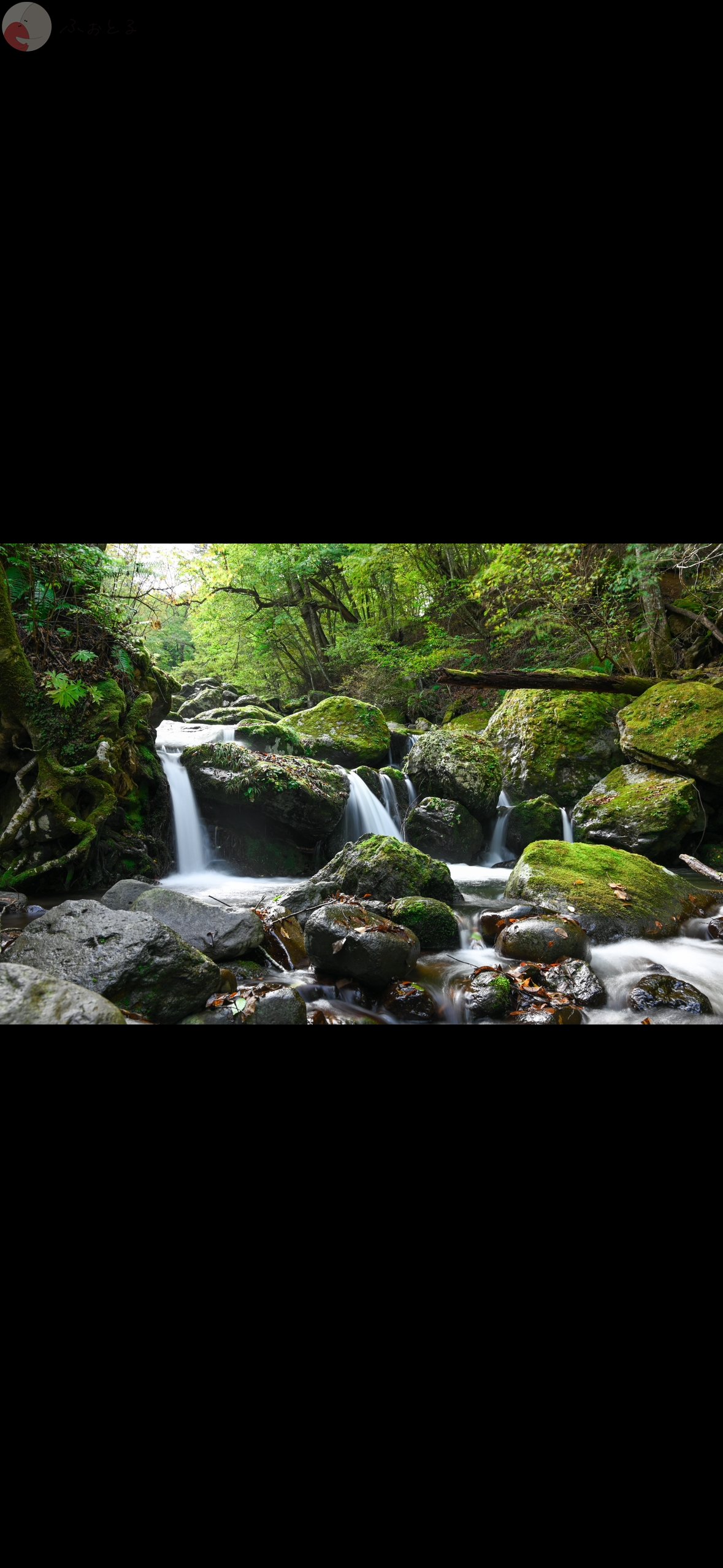 原のポートフォリオ7