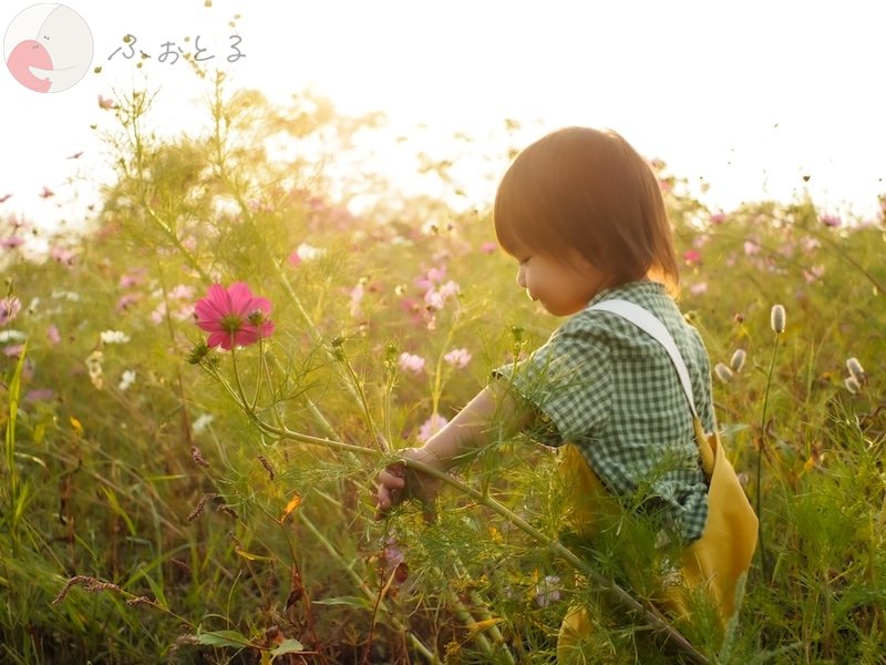 紬葵のポートフォリオ2