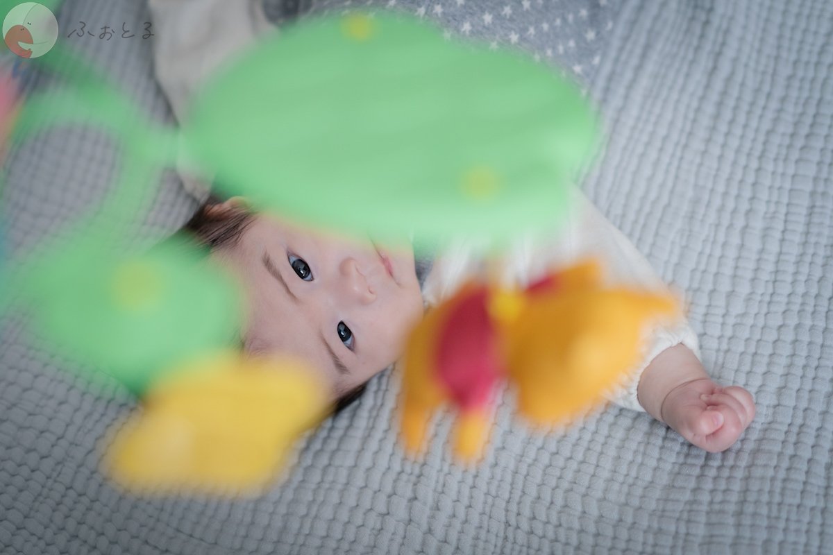 はしもと ゆかのポートフォリオ3