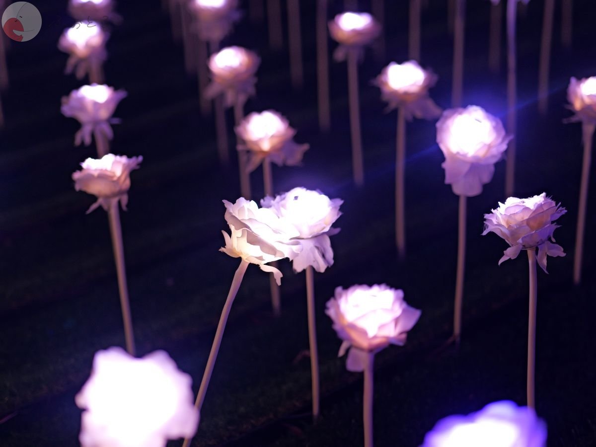 Cogley コーグリーのポートフォリオ1