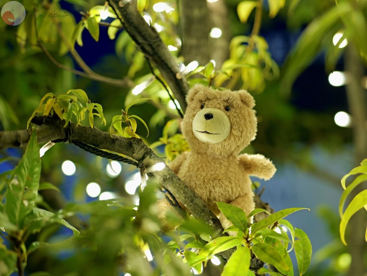 Cogley コーグリーのポートフォリオ3