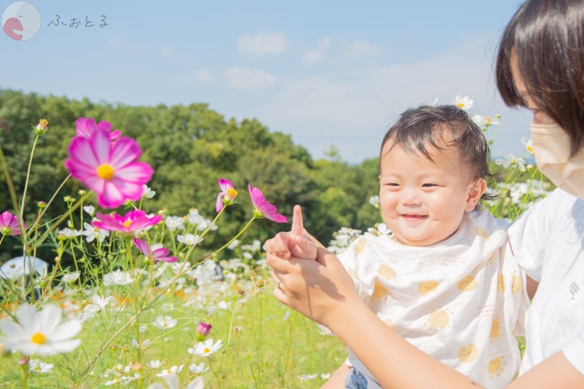 ふじおか万次郎のポートフォリオ1