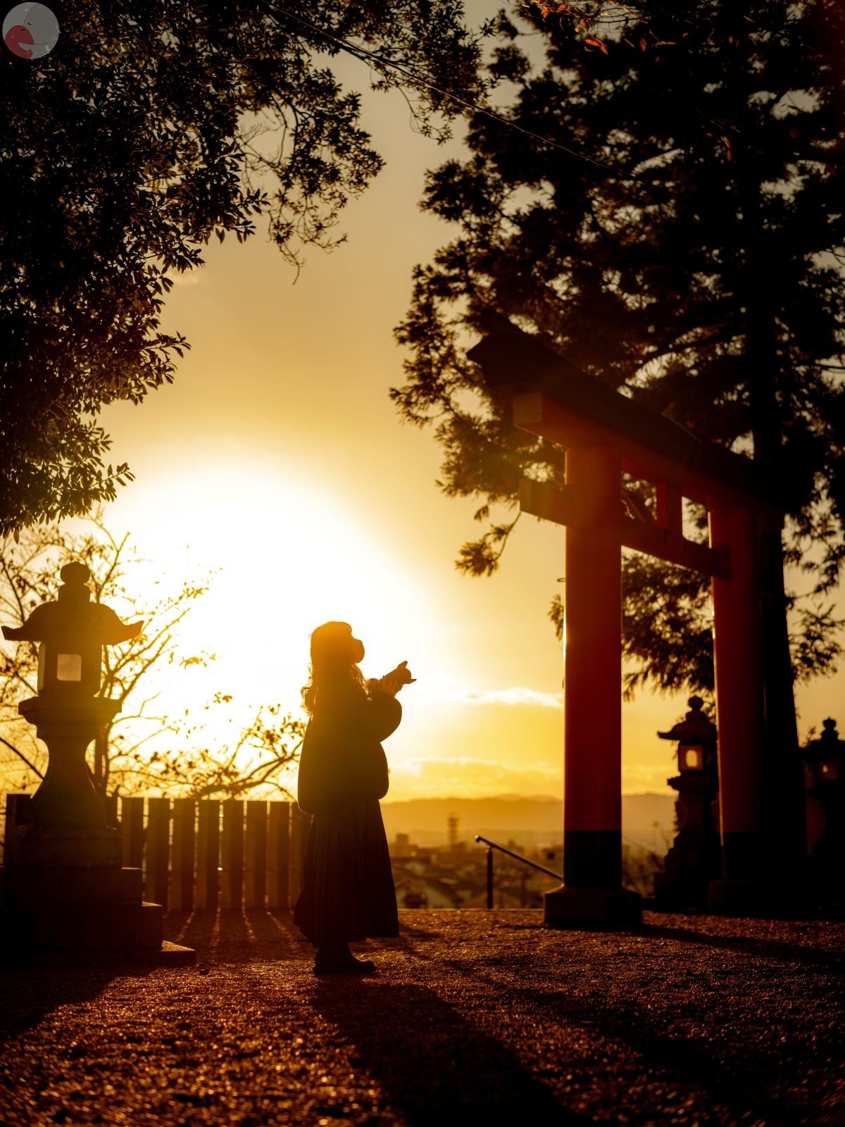 ふじおか万次郎のポートフォリオ6