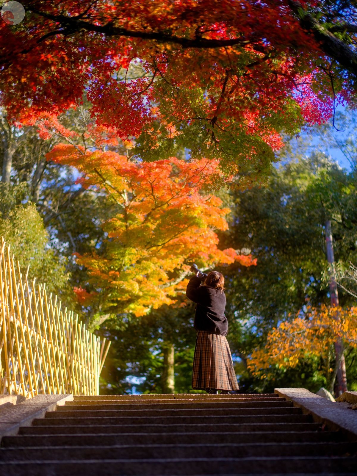 ふじおか万次郎のポートフォリオ4