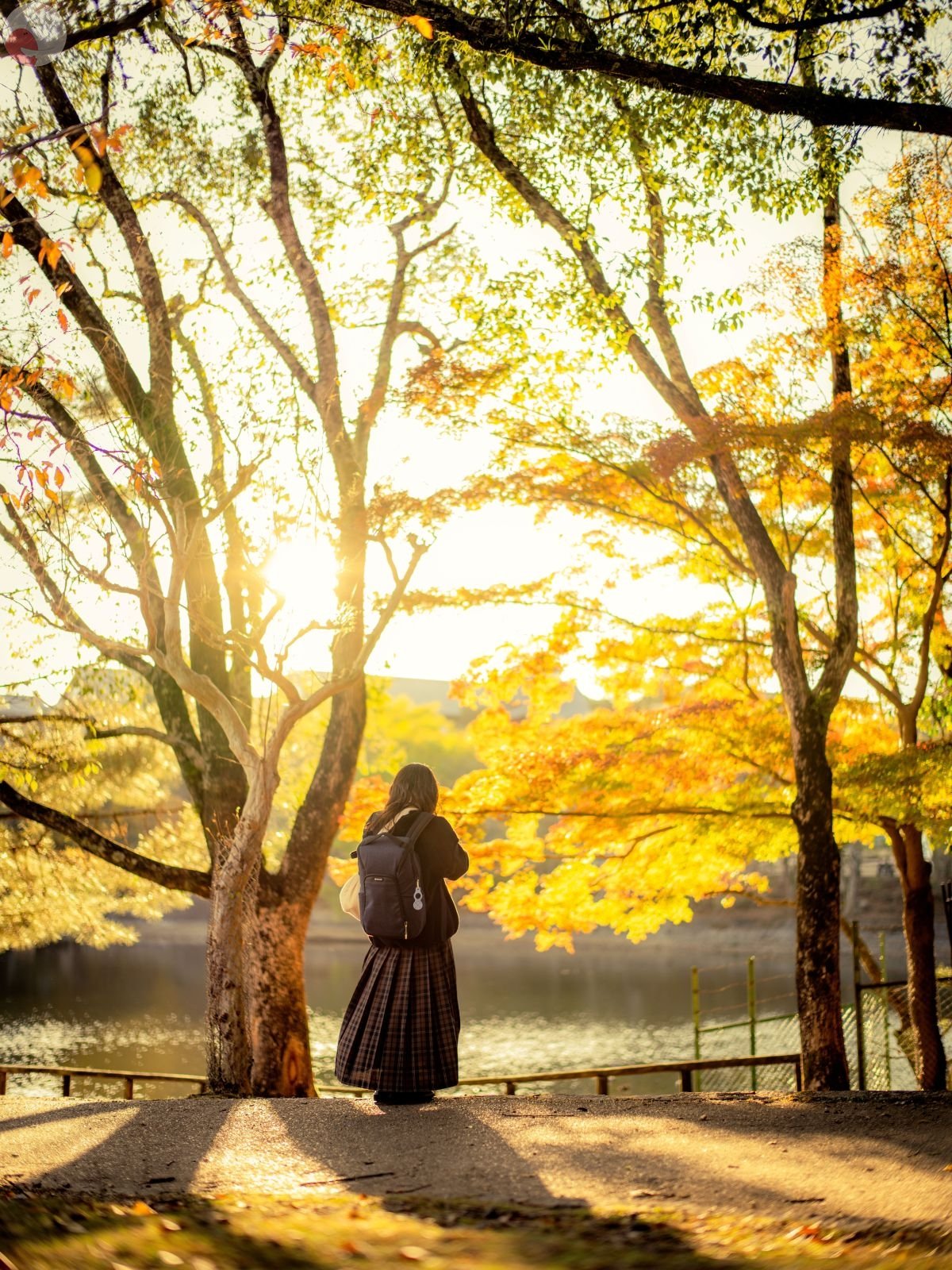 ふじおか万次郎のポートフォリオ0