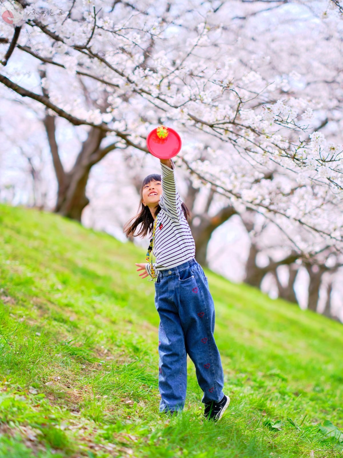 ふじおか万次郎のポートフォリオ6