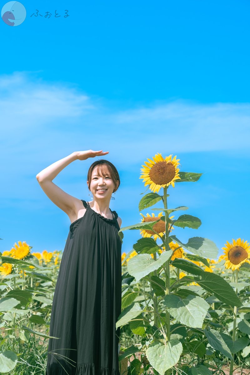 たかのポートフォリオ4