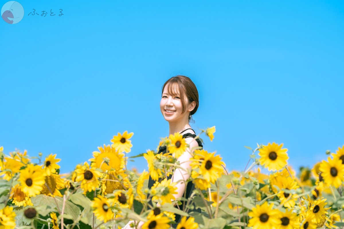 たかのポートフォリオ5