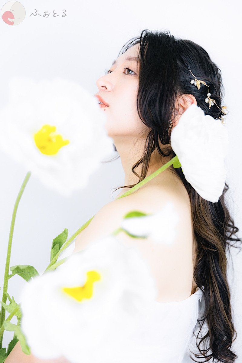 くものポートフォリオ0