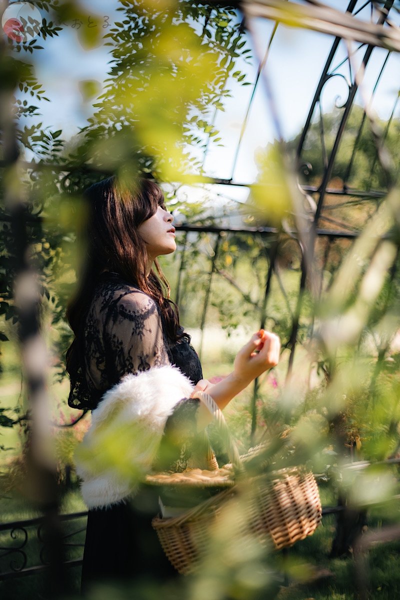 くものポートフォリオ1