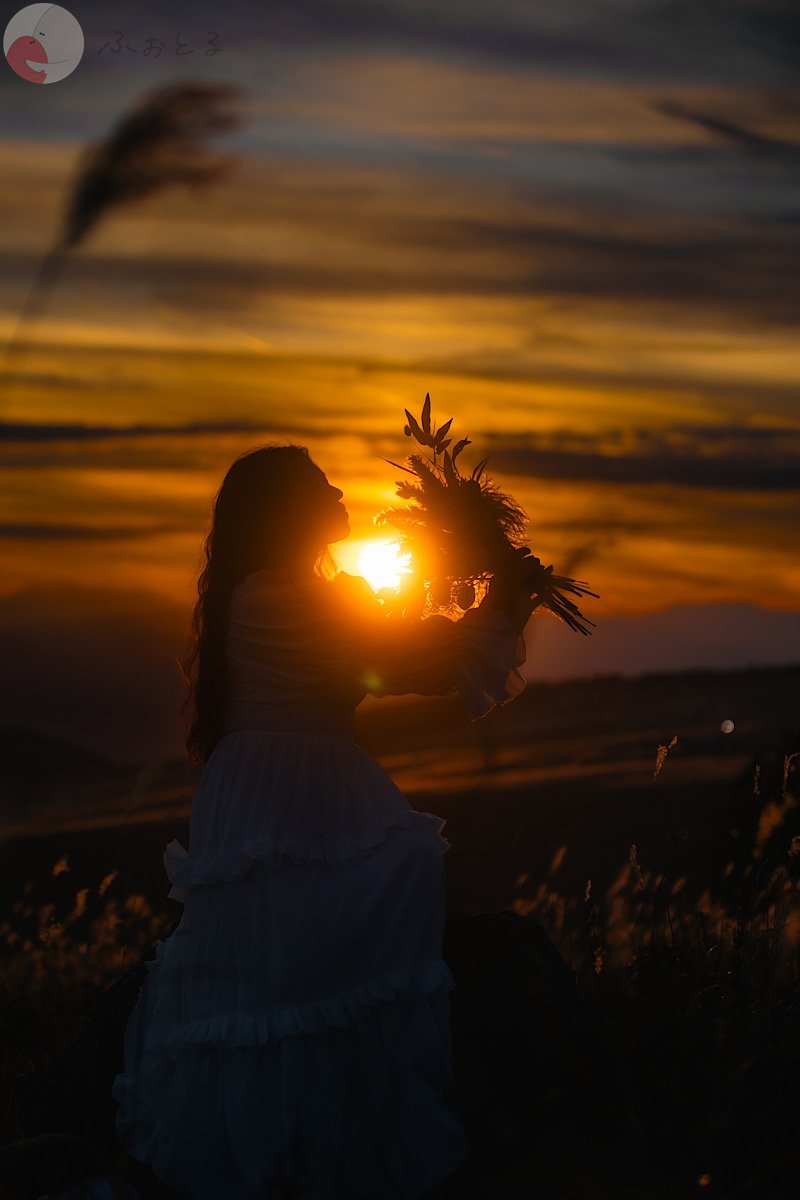 くものポートフォリオ2