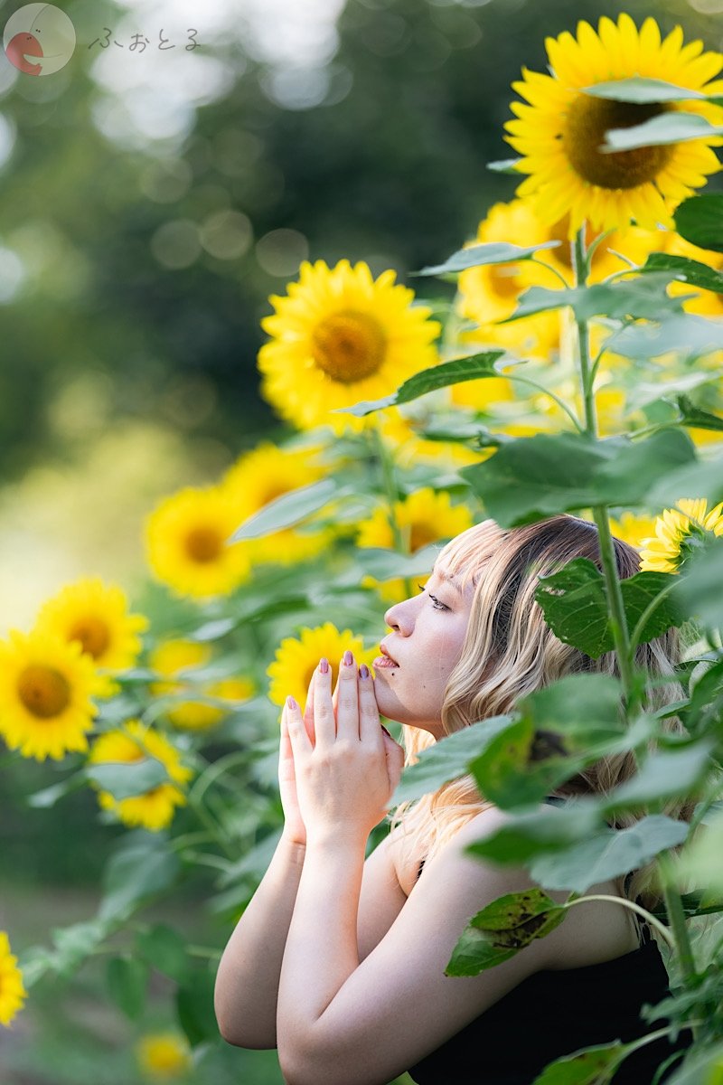 くものポートフォリオ3