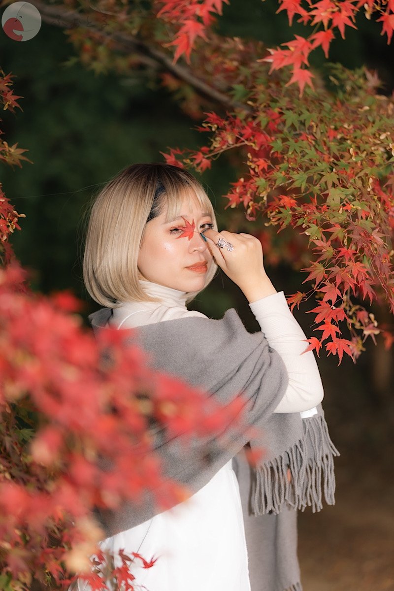 くものポートフォリオ5