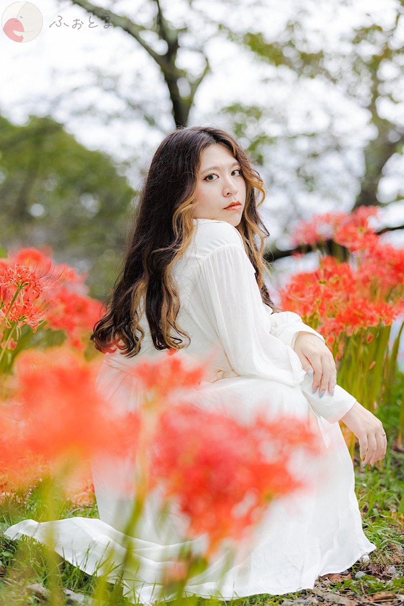 くものポートフォリオ7