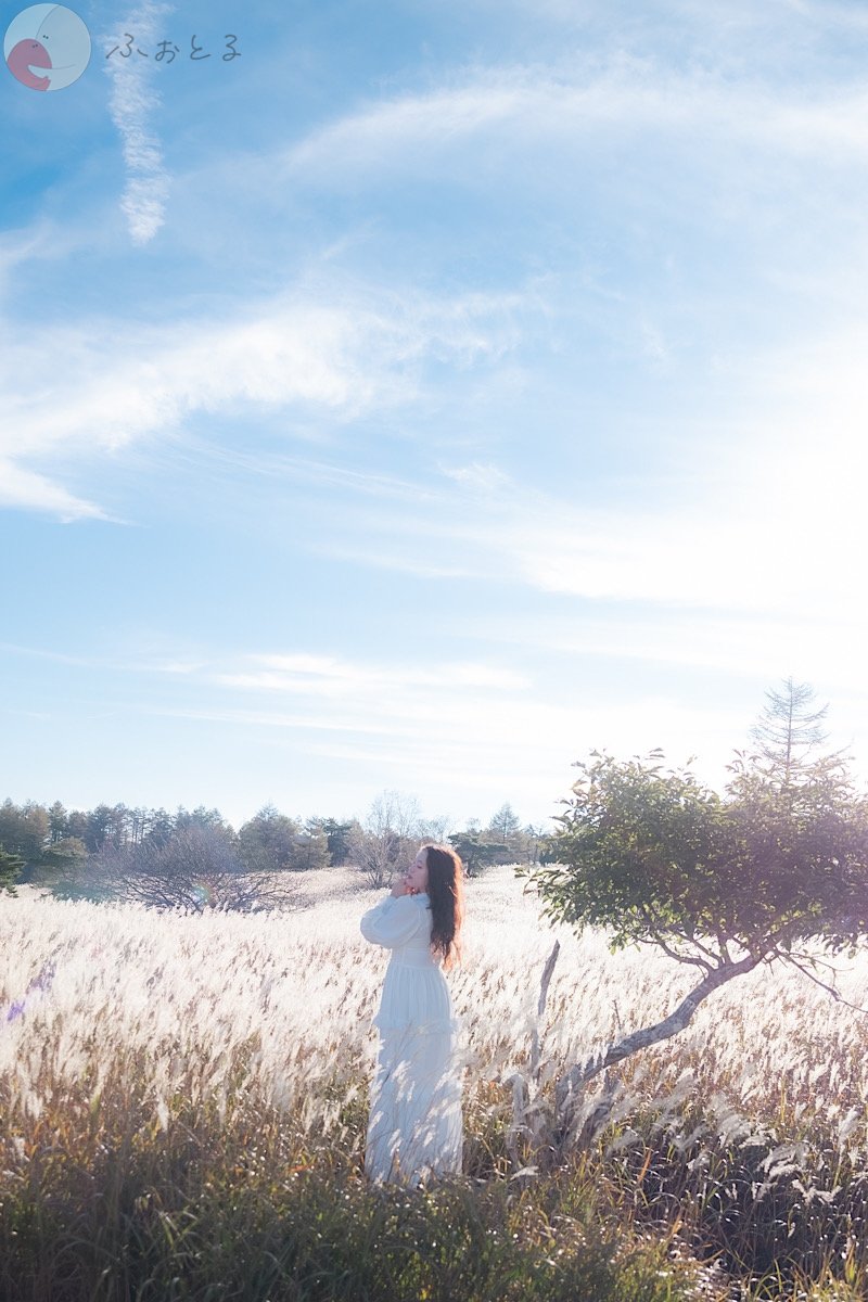 くものポートフォリオ8