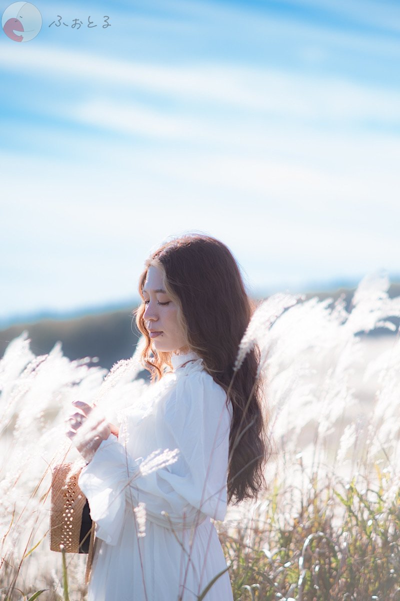 くものポートフォリオ9