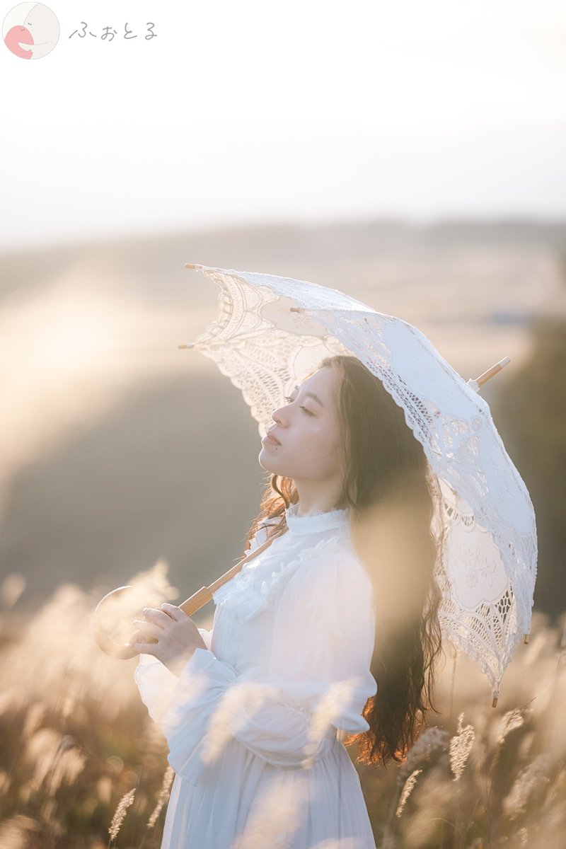 くものポートフォリオ0