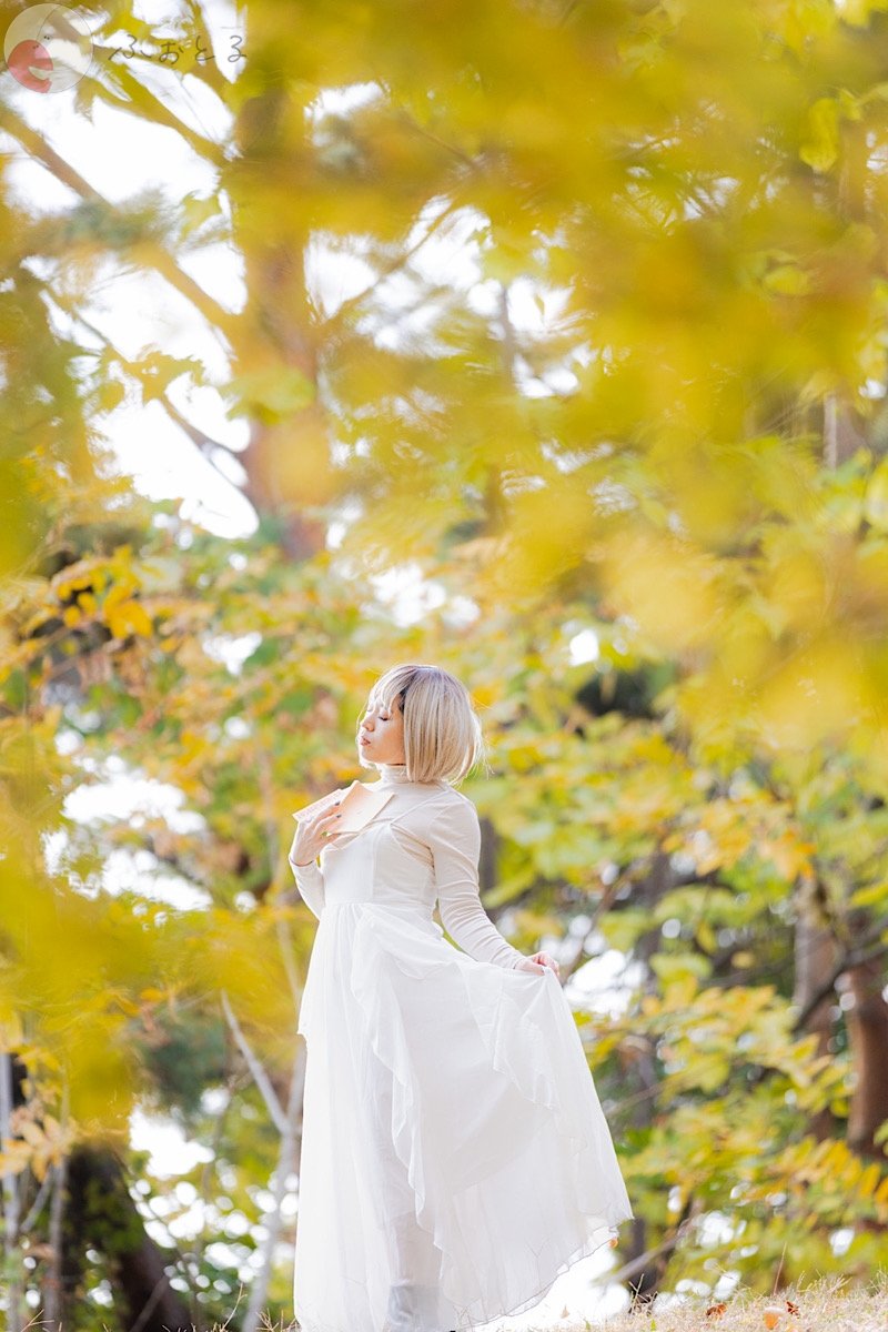 くものポートフォリオ1