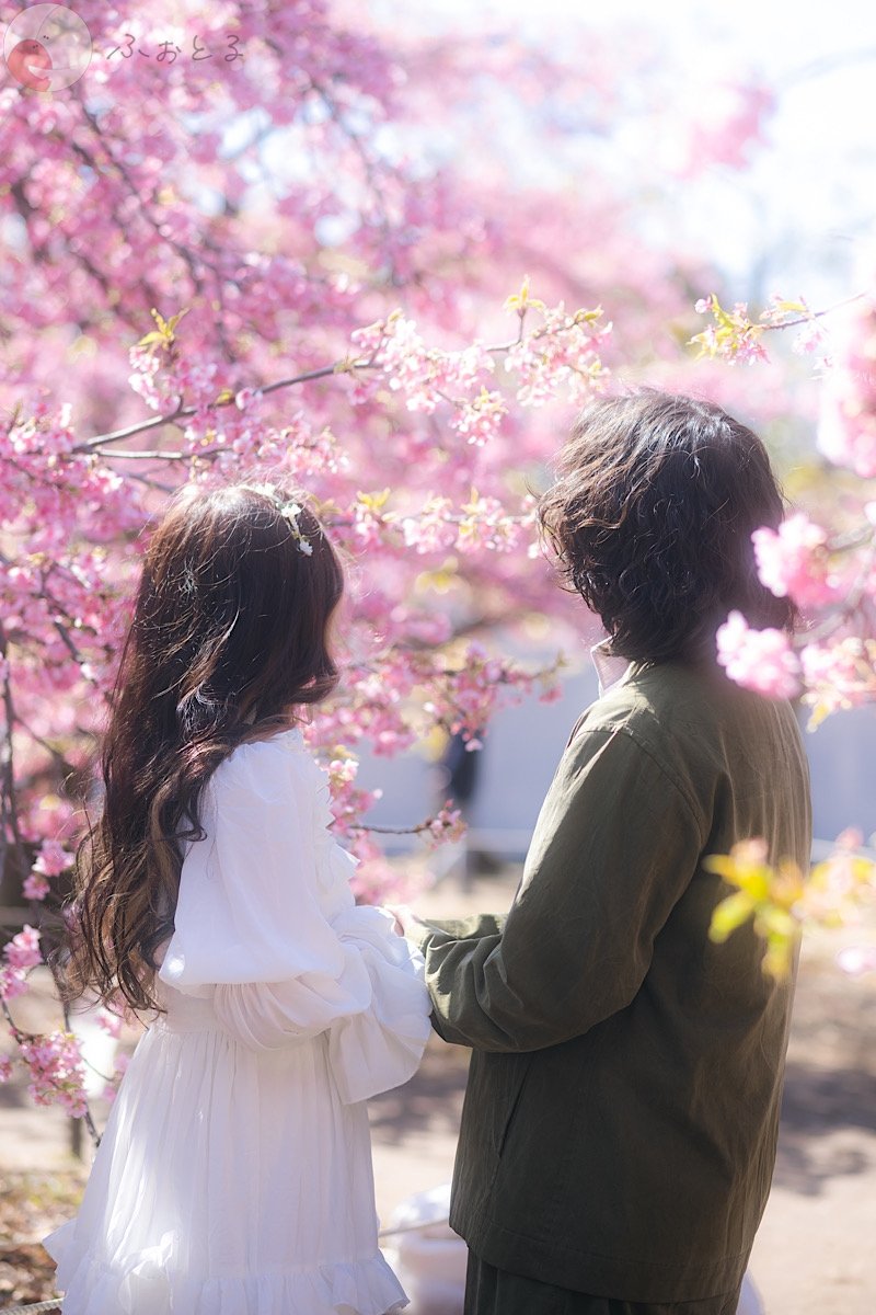 くものポートフォリオ4