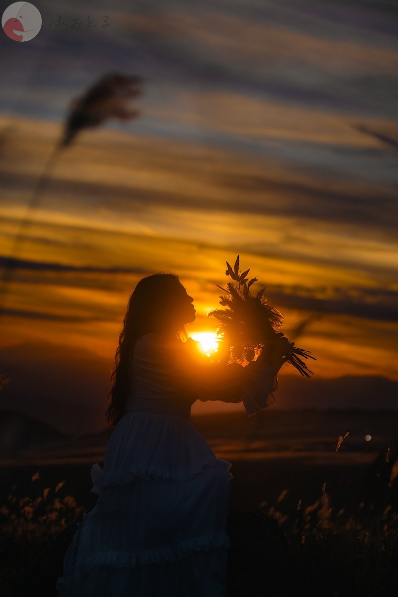 くものポートフォリオ6