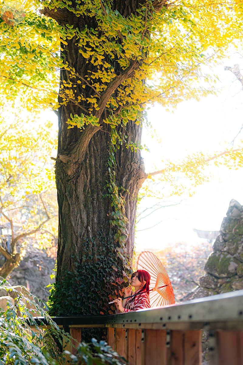 くものポートフォリオ5