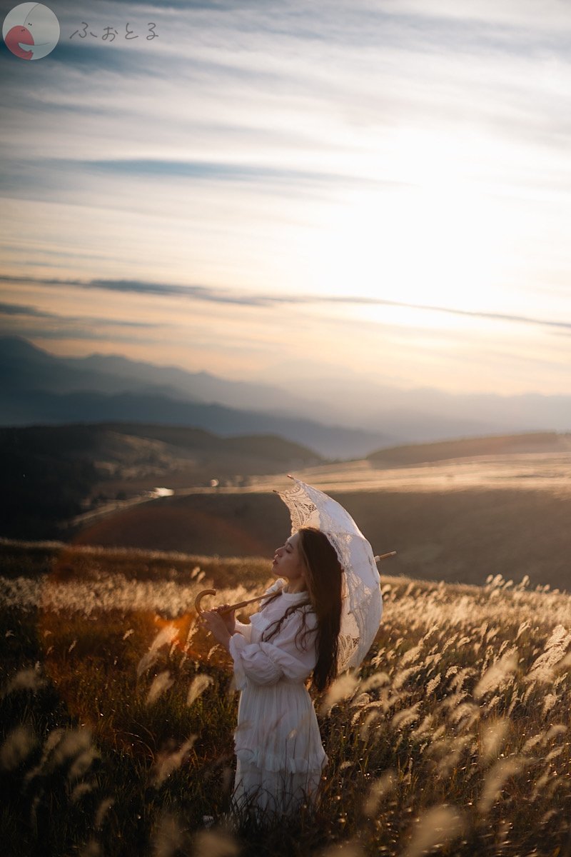 くものポートフォリオ8