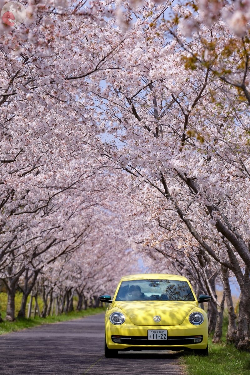 かじあき写真屋さんのポートフォリオ5