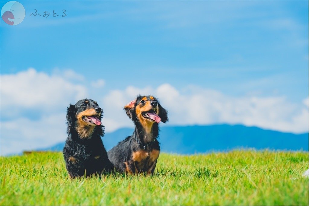 奥山 達哉のポートフォリオ2