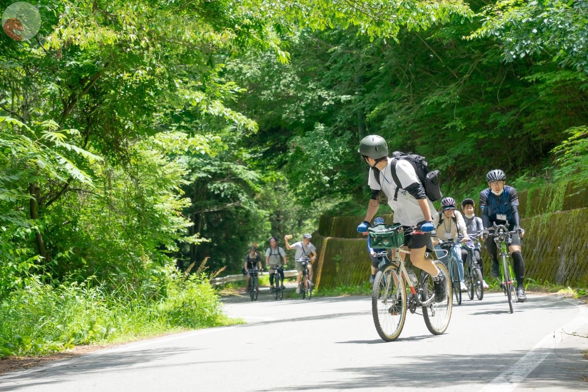 やまこのポートフォリオ2