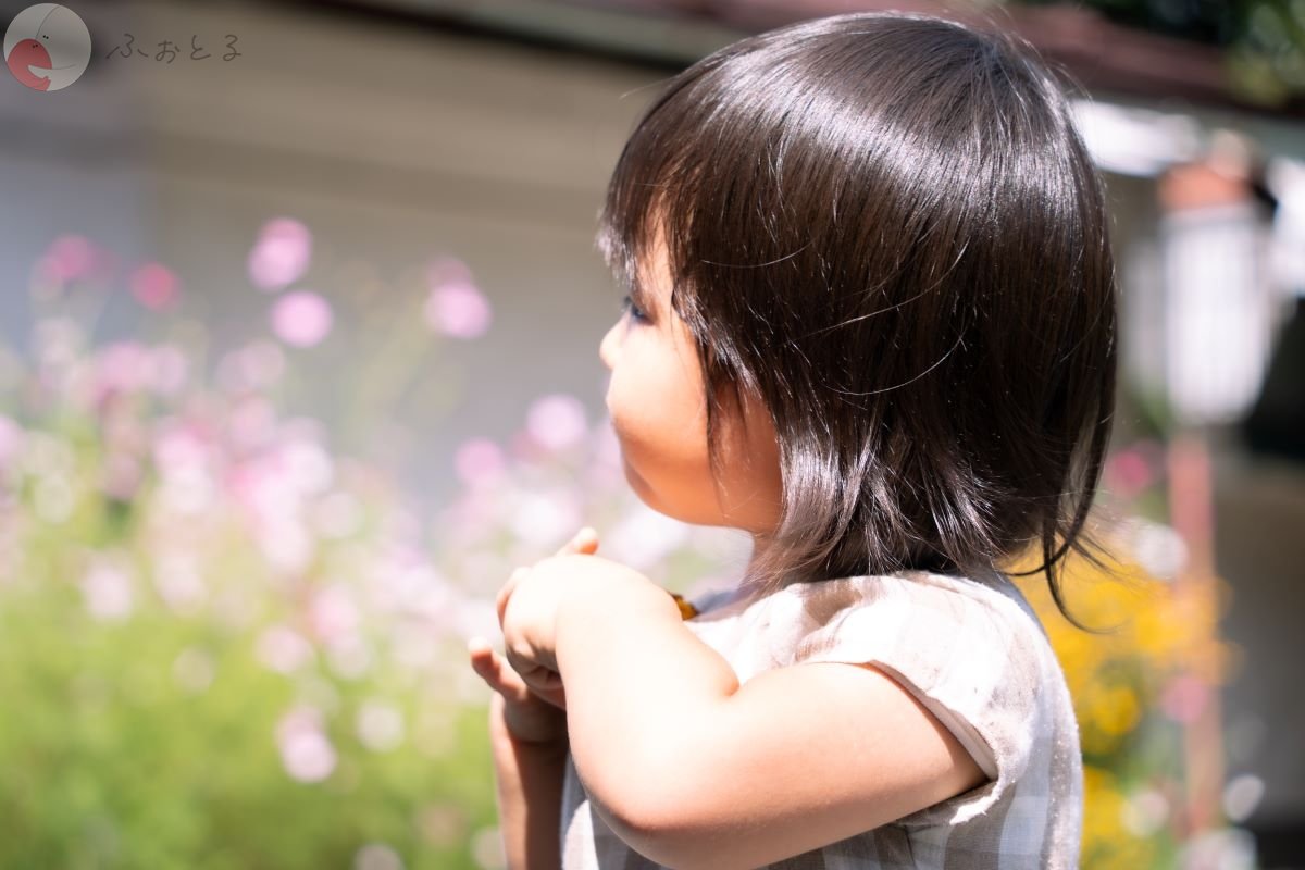 やまこのポートフォリオ7