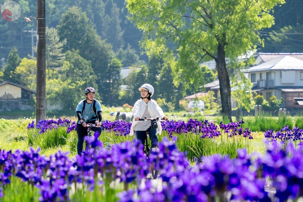 やまこのポートフォリオ1