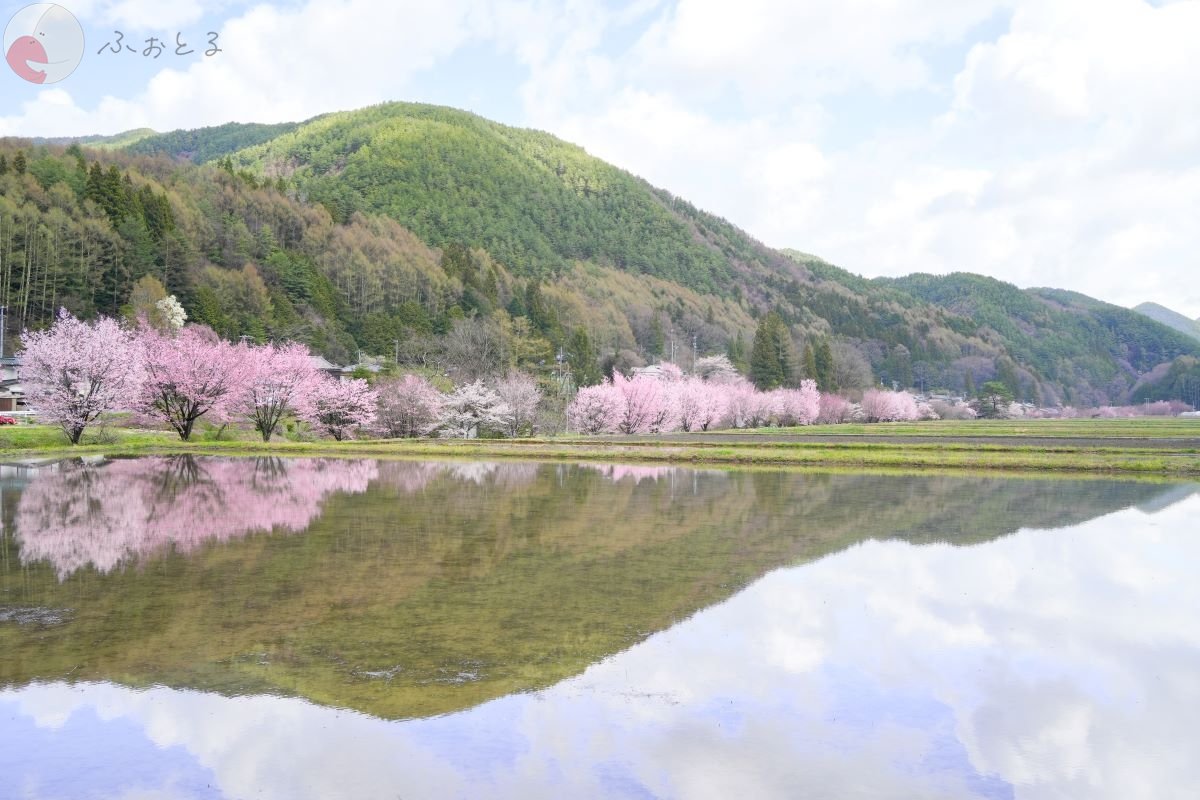 やまこのポートフォリオ0