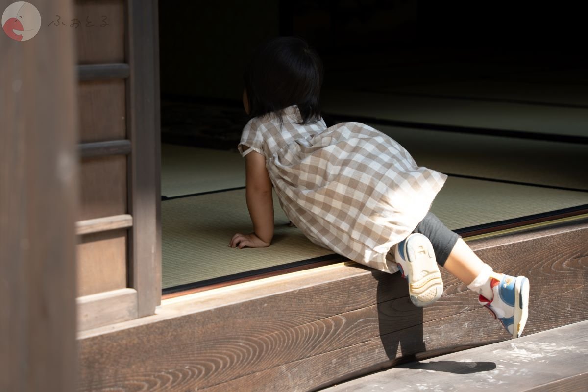 やまこのポートフォリオ1