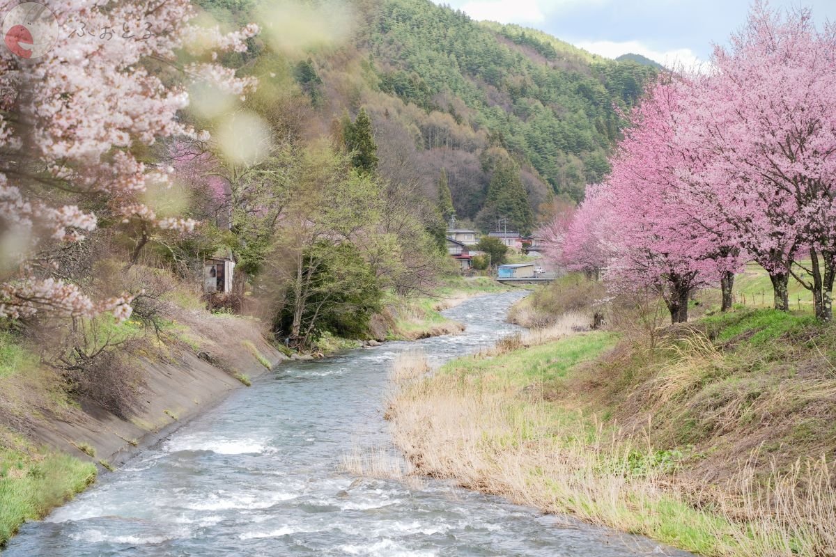 やまこのポートフォリオ2