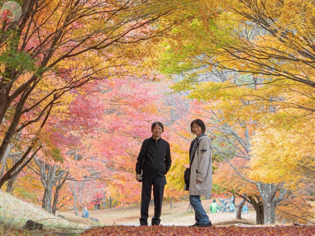 やまこのポートフォリオ5