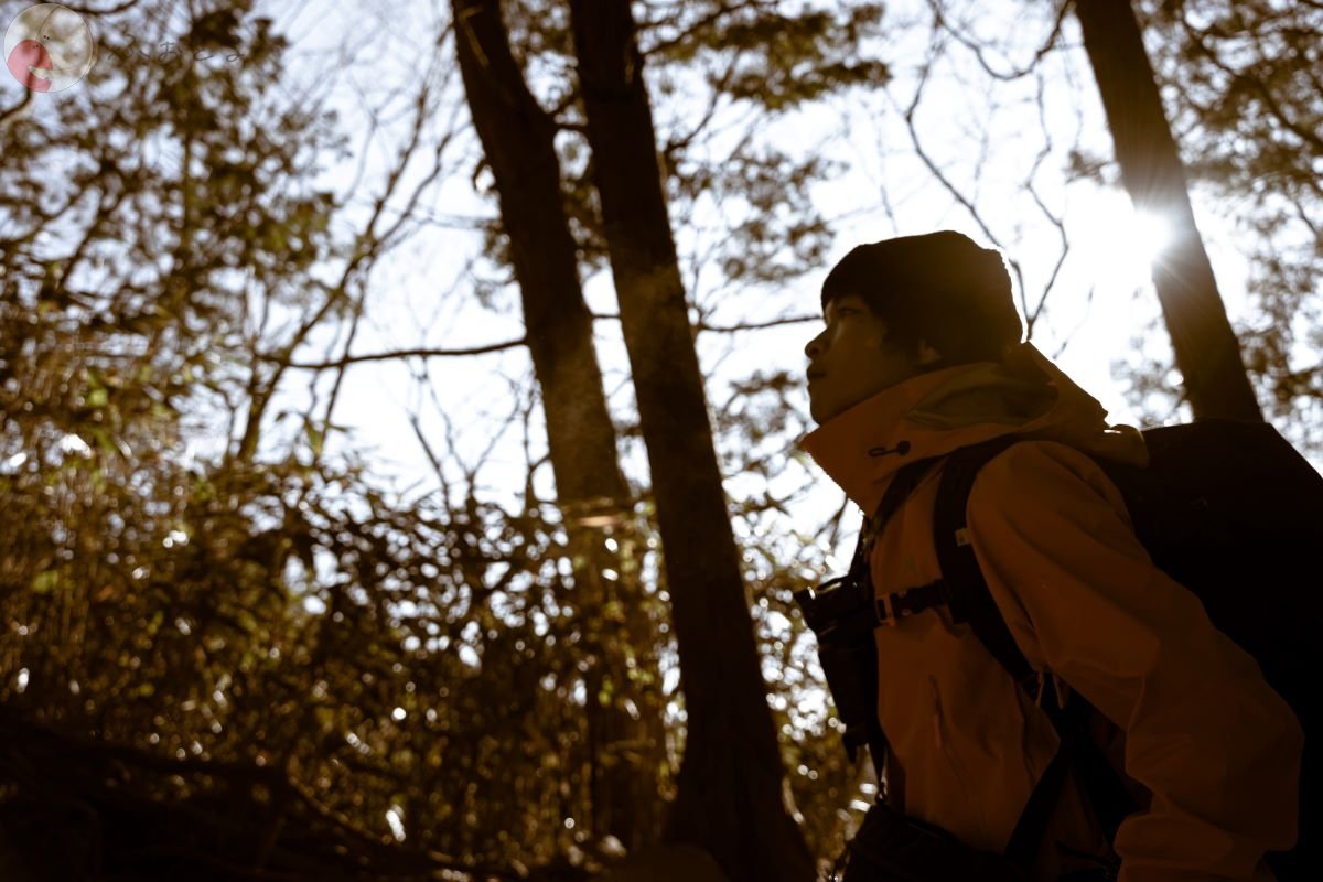 やまこのポートフォリオ3